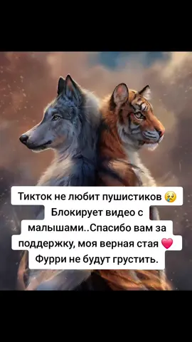 #фурри #любовь #пушистики #грусть 