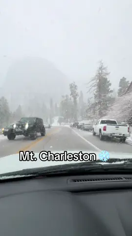 Snowing on Mt. Charleston Las Vegas. #lasvegas #mtcharlestonlasvegas 
