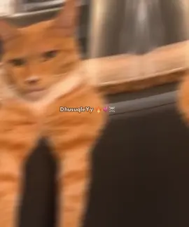 nyada klaya wiilasheena wx dhamaamo ma jire😂💅🏼🌷#habargidir💙💚🤍🔥💀 #ceyroww🥶🦁🔥 #dhusuqleyyy🕊🤤💅 