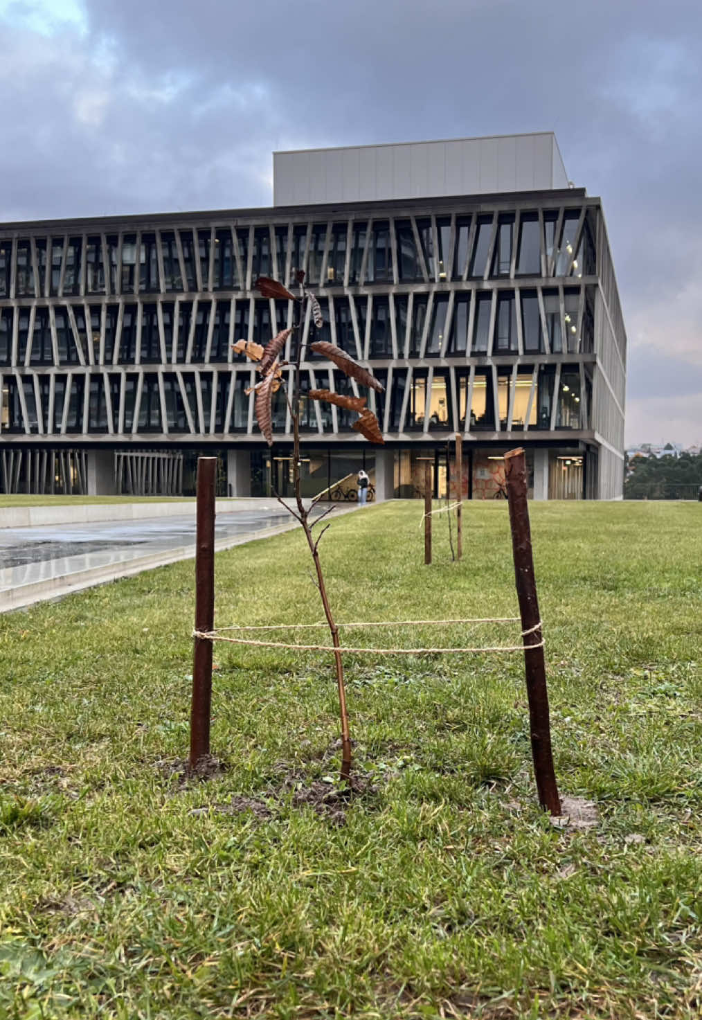 Rander Reporter 🎤