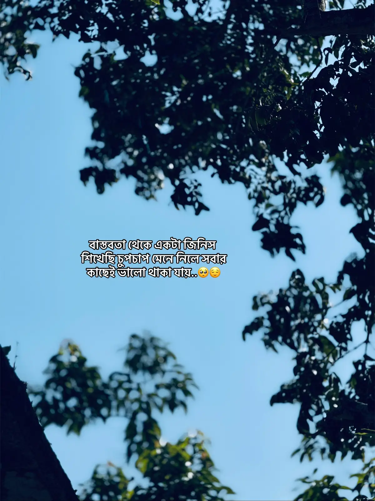 #Outfit cowok Berwarna#foryou #1millionaudition 