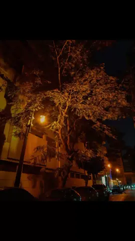 هشيلك جوه قلبي ونن عيني 👀🌍❤️