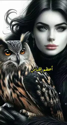 أعظم إقتباس لمس قلبي 