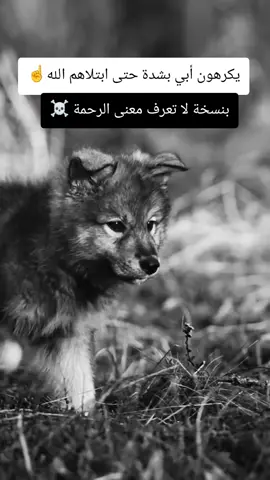 #viralvideo #viraltiktok #محضور_من_الاكسلبلوو #vypシاعادةنشر 