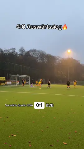 Kann man mal machen 😎 #bvbfrauen #bvb #goal #woso #fy 