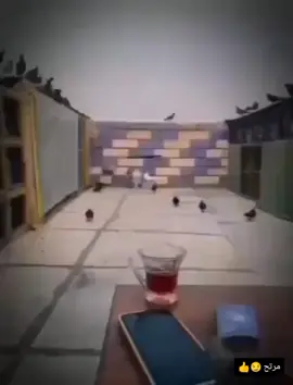 الحمدلله مرتاح أني 💔👋🏻 #حزينہ♬🥺💔 #حلالكم_فيديوهاتي😅💁🏻 #تصاميم_فيديو_ستار🔥 #يــمـگ #يــمـگ 