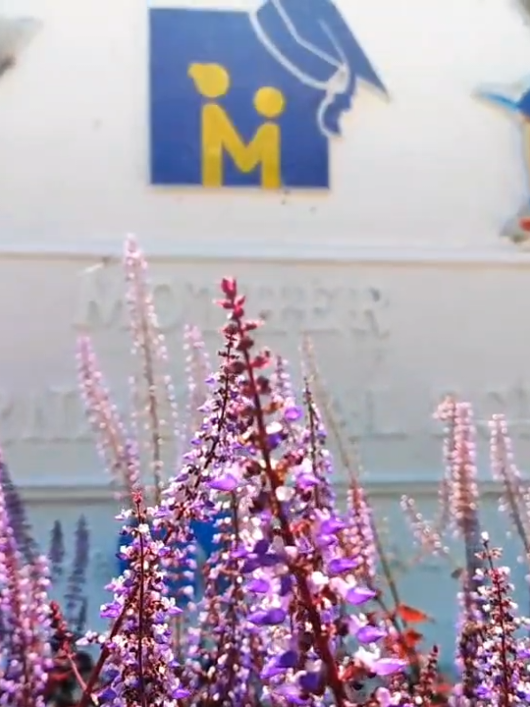 မကြာခင်မှာပြီးစီးတော့မယ့် swimming pool နဲ့အတူ MIS မှာ စာလဲသင်မယ် ၊ ရေလဲကူးမယ် #motherinternationalschoolnpt #2025_2026academicyear 