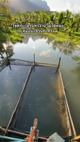 #สตอรี่ความรู้สึก #บ่าวไทไต้ใจดี❤️ 