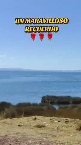 #bolivia🇧🇴 #viral #Viral #papucho #lapaz_bolivia🇧🇴 