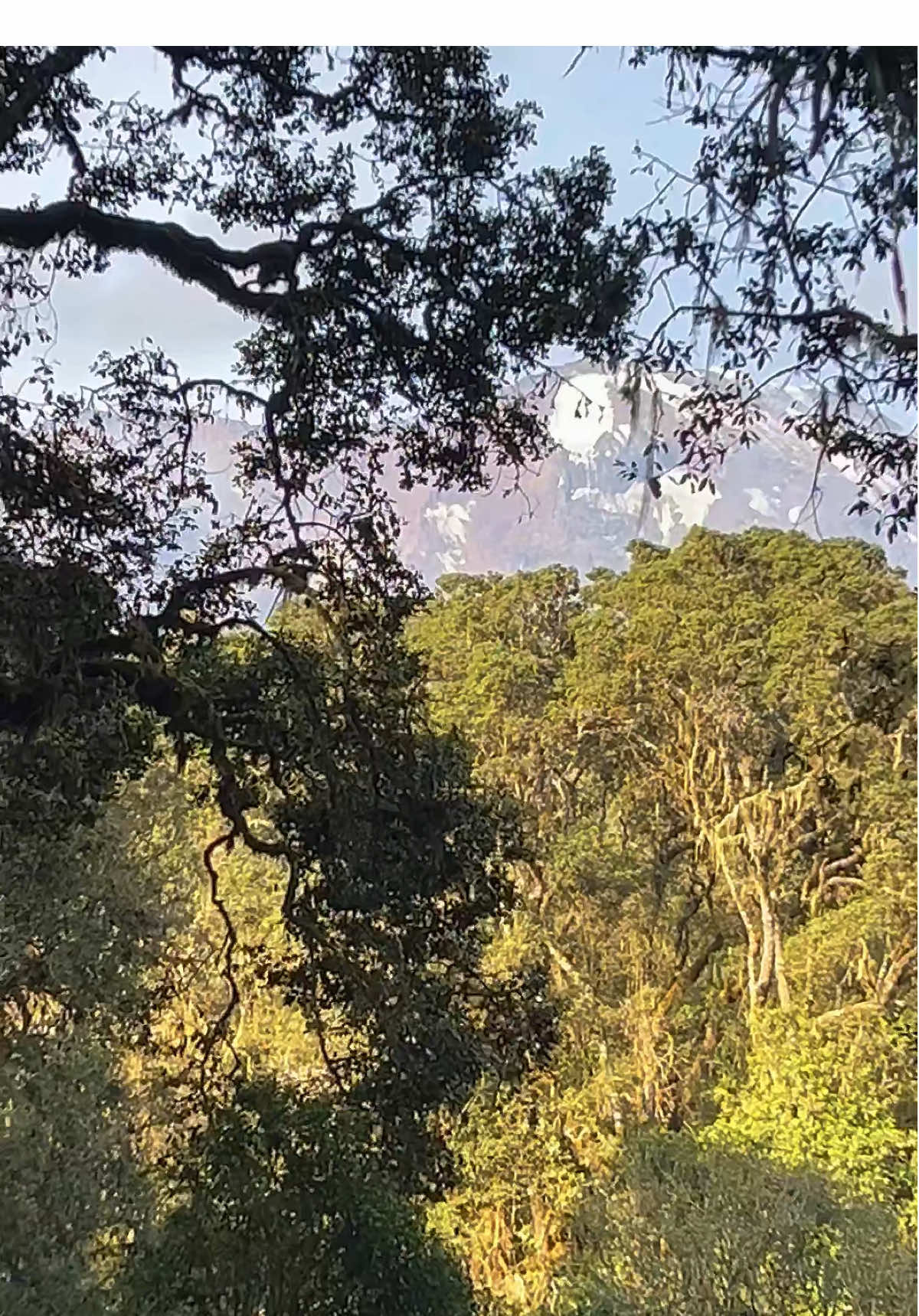 Bucket list: climb Kilimanjaro ✔️ #fyp #viral #trending #tiktokchallenge #explorepage