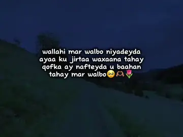 jaceyl 🫶🏽🥺 #viewsproblem😭 #foryoupage #foryoupage❤️❤️ #fyp #foryou 