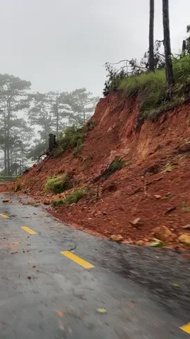 🙏 #dalat #dalatreview #dran #lamdong #deodran 