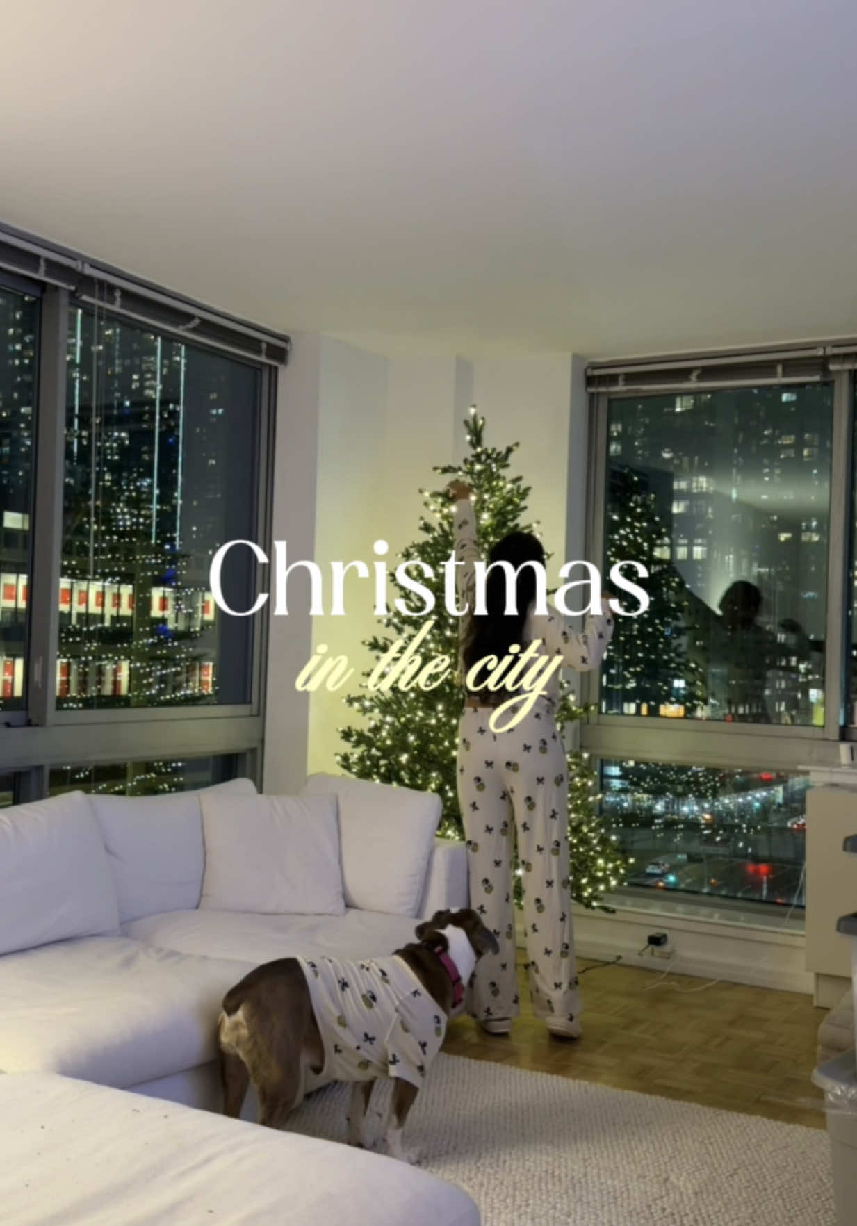 Our NYC apartment just got its Christmas glow ✨🎄🐾 what do you think of our new tree? #christmasinthecity #nycchristmas #cozyvibes #holidaydecor #nycapartment @potterybarn @Anthropologie @aerie @Wayfair @crateandbarrel @The Home Depot 