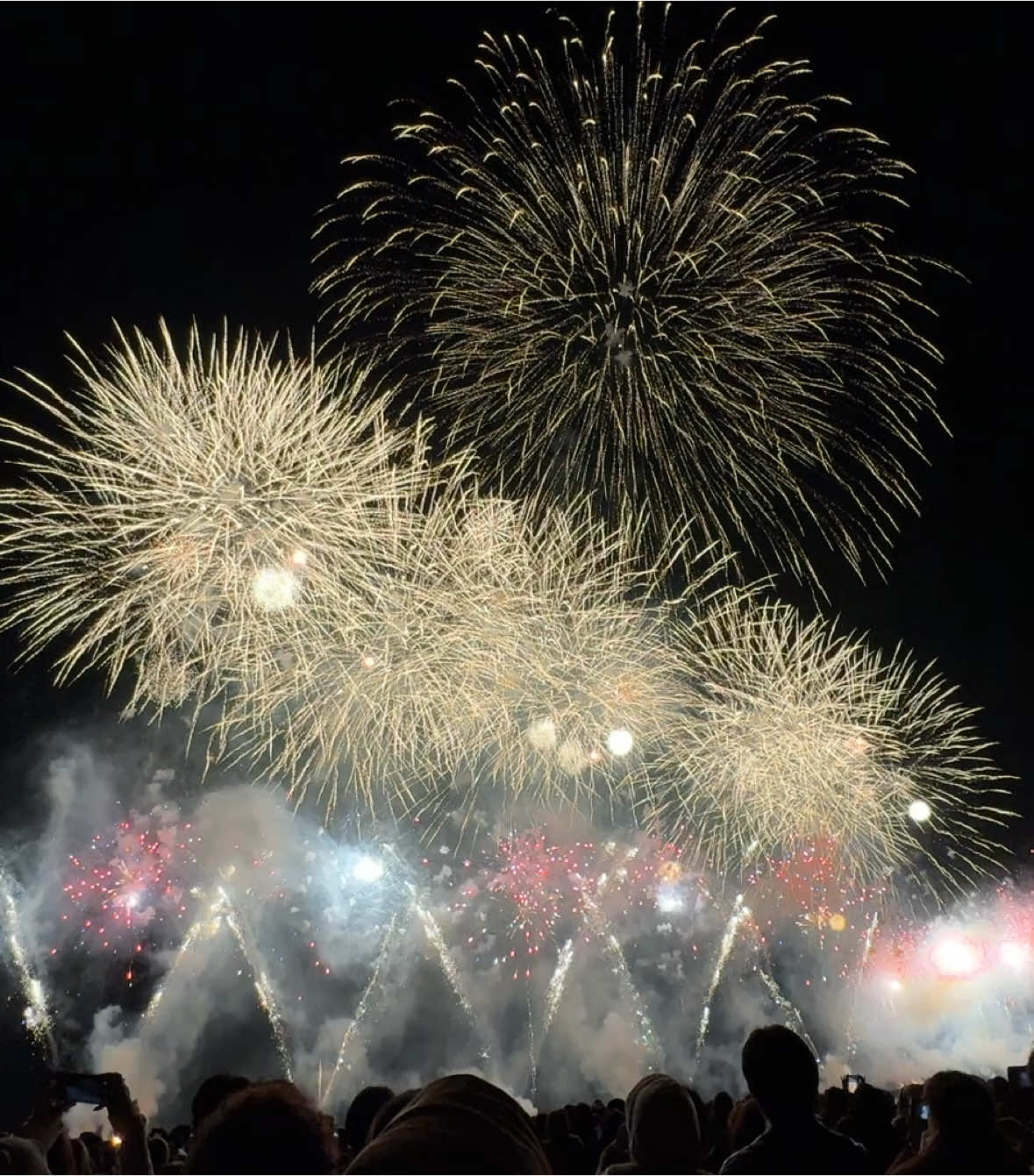 ハウステンボスの九州一大花火まつり！🌟 ラストほんとに凄い迫力🥹 #ハウステンボス #花火 #九州一大花火まつり 