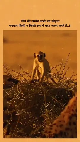 #foryou #sarbajit1433 