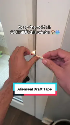 Close up all of the gaps in your door this winter with AlienSeal #alienseal #drafttape #homeimprovement #qvc #tiktokshopcreatorpicks 