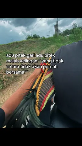 yoalahh #fyp #pecintaayam #blitar24jam 