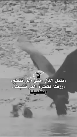 #عبارت_فخمه_قوية #تصميم_فيديوهات🎶🎤🎬 #أصمم_على_هواء_قلبي #محتوى_جيد_جداً_مؤهل_للتوصية_ولا_ينتهك_ارشادات_المجتمع 