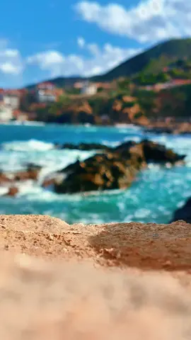 #الجزائر🇩🇿 #tipaza 