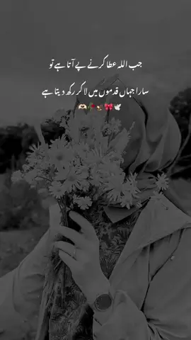 🙃🥀🕊️ #deep_Soul5 #fyp #foryoupage #100k #unfrezzmyaccount 