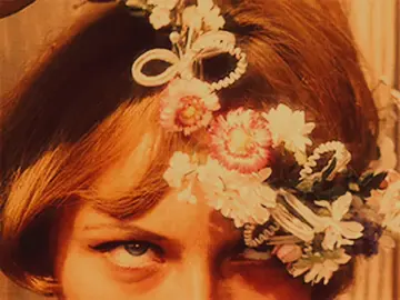 🦢🦢🦢 #vintage #moodboard #edit 