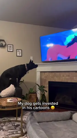 He thinks the characters are his friends 😆 #fyp #dogsoftiktok 