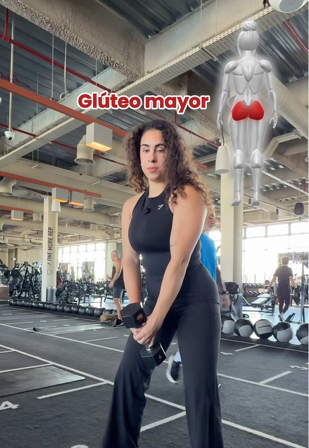 El último es increíble! 1. Sentadilla sumo 🚦❤️ El glúteo mayor no siempre es el protagonista. Aun así es un gran básico ejercicio. 2. Sentadilla búlgara 🚦💛 Aquí el glúteo mayor ya hace mucho más trabajo. El rango es más profundo, hay estabilidad unilateral y el estiramiento del glúteo es mayor. Si la haces bien… arde. Literal. 3. Step-up 🚦💚 Cuanto más alto el cajón (con buena técnica), más activación. Y encima mejora equilibrio, potencia y fuerza real para la vida diaria. Puedes hacer las tres, pero si tu objetivo es glúteo mayor… step up es top 