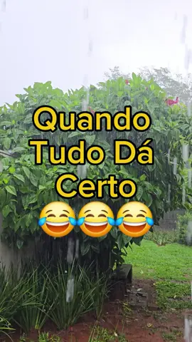Quando Tudo Dá Certo 😂 #CapCut 