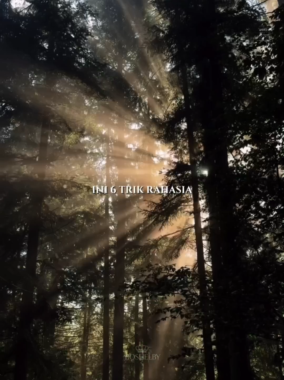 6 trik rahasia.  #inspiration #motivation #bukurahasia #joshkaufman #wisdom 