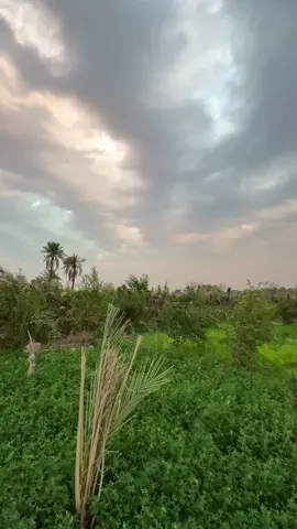 #باسم_الكربلائي #3tr5l 