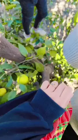 البغجه انتا محليها 😂🌝#مالي_خلق_احط_هاشتاقات🦦 