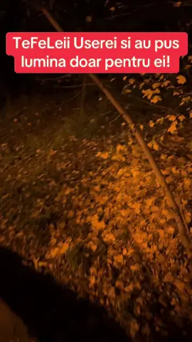 #usrincompententi #judele #luminainherastrau #bataiedejoc #drula 