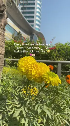 Amen 💗#foryoupageeee #foryoupagee #fypシ゚ #unfrezzmyaccount #foryoupage 