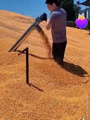 ไม้กวาดวิเศษอเนกประสงค์รุ่นใหม่นี้ แม้แต่มือใหม่หัดทำความสะอาดบ้านก็ทำความสะอาดบ้านได้อย่างหมดจด!