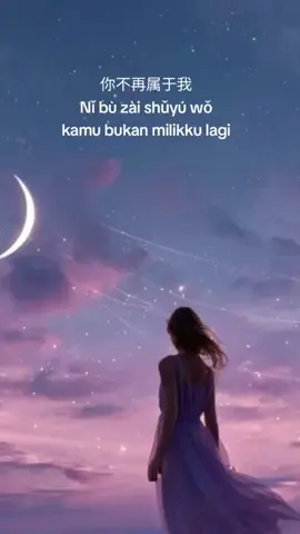 你不再属于我 Nǐ bù zài shǔyú wǒ kamu bukan milikku lagi #chinesesong #lagumandarin #viral #fyp #mandarinsong 