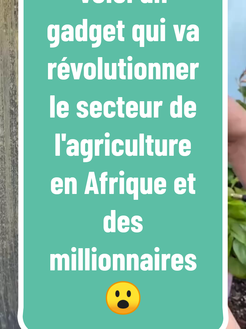 voici un produit qui va révolutionner le secteur de l'agriculture en Afrique pas besoin de gros budget pour commencer et fait toi rapidement de l'argent grâce à ce produit en Afrique,commente juste business si tu desire te lancer des maintenant dans ce business @Celin/bussiness en ligne/chine   #jeuneentrepreneur #produitgagnant  #alibaba  #tiktokbusiness #businessafrique 