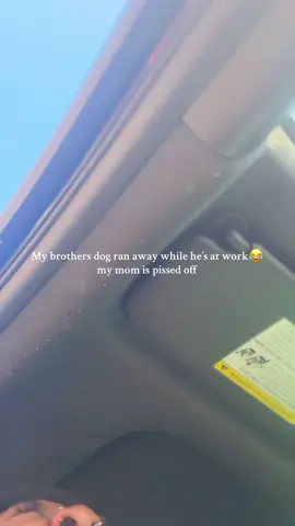 That was tfse 😂😂😂😂😂 like I am still crying laughing 