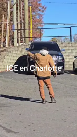 Ice en Charlotte #ice #charlotte 