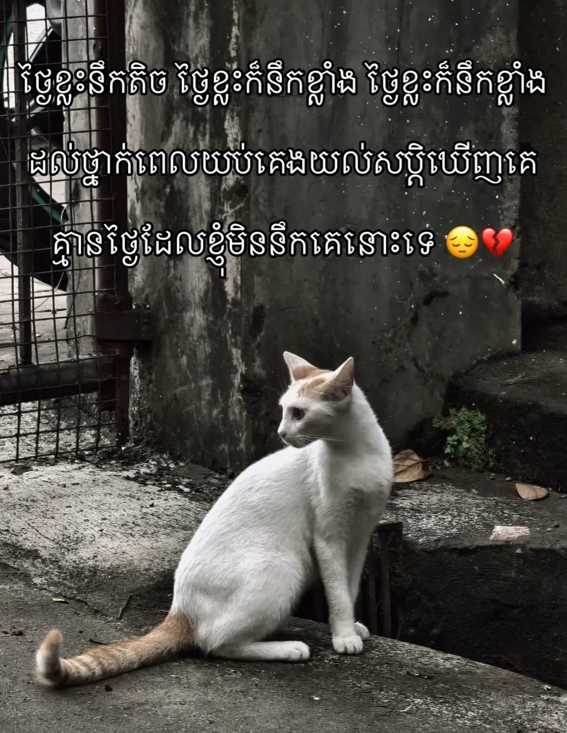 #fyp #memories #viral 