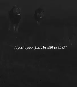 #fypシ゚  -#fypage 