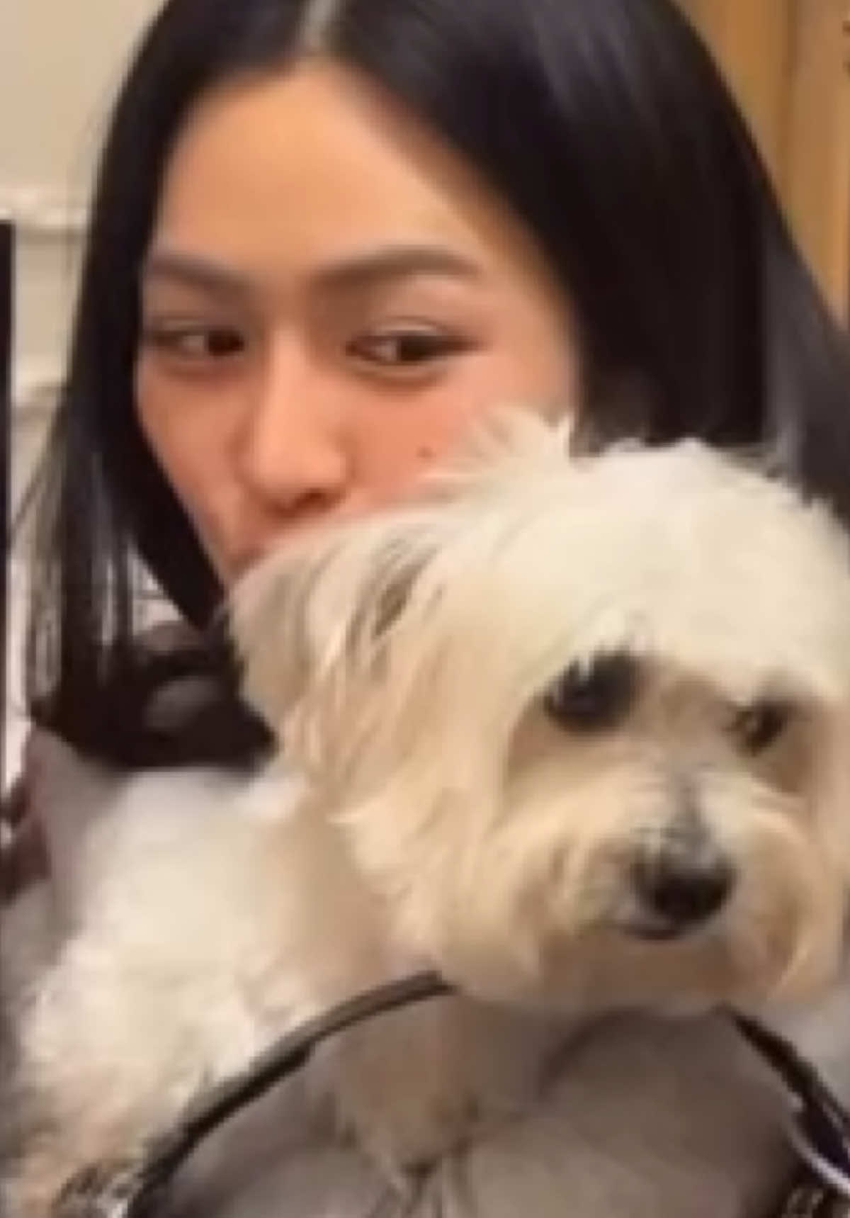 junji_junp fluke_pongsapat Story 2025/11/17 #linglingkwong  #fluke_pongsapat #junji_junp #鄺玲玲