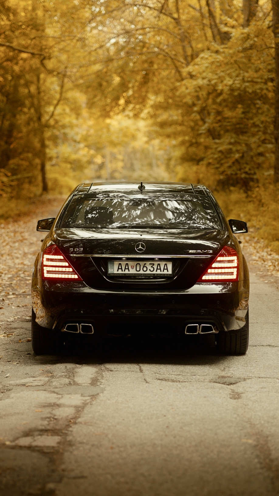 Mercedes-AMG S63 Performance🔥 #009group #mercedesamg #mercedess63 #w221 #w221amg