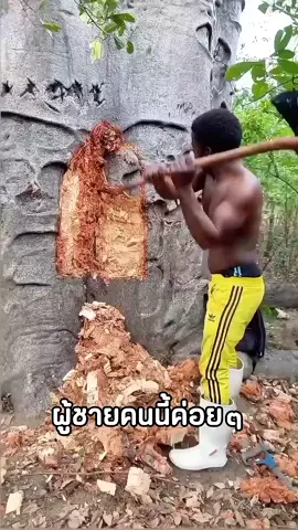 สร้างห้องในต้นไม้ที่เก็บน้ำได้เยอะมาก!!#เล่าเรื่อง #trending #viralshorts #viralvideo #ไม่น่าเชื่อ 