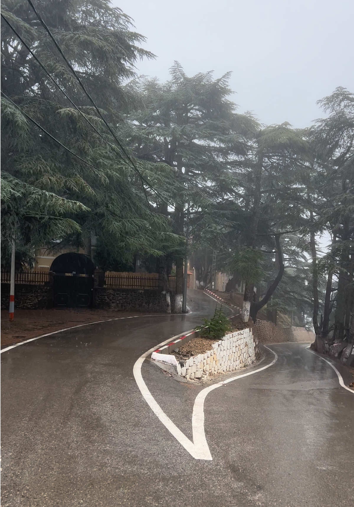 الشريعة في الشتاء 🌧️⛈️😍 #tiktokindia #tik_tok #pyyyyyyyyyyyyyyyyyyyyyyyyyyyyy #algeria #chrea 