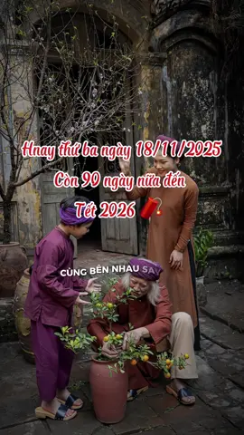 Mấy tháng cuối năm ngày nào cũng trôi qua thật nhanh..! Còn 90 ngày nữa đến Tết 2026..!#tet2026#nhacxuan#nhachaymoingay#tetdongday🌸🌸#xuhuongtiktok2025♥️🔥❤️❤️❤️ 
