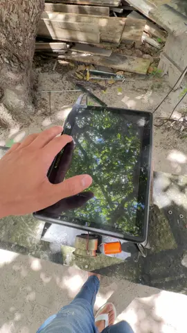 #somautomotivobrasil 