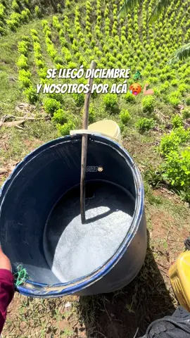 🙏🏼💪🏼#trabajo #diciembre #guaracha #Viral 