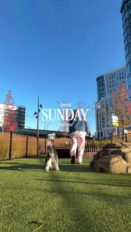 The perfect Sunday >> #morningroutinevlog #morningaesthetic #sundayreset #spendthedaywithus #sundaynightdinner 