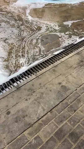 #ترند #هلي #fyppppppppppppppppppppppp 