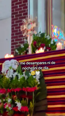 ❤️🥺 #eucaristia🤍💛 #jovenescatolicos❤️✨ #jesussacramentado🙏❤️ #mimundofeliz❣️ #reydemivida 